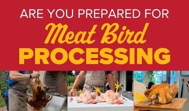 Shop Meat Bird Processing Supplies
