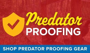 Keep your birds protected from predators with our must-have predator proofing essentials!