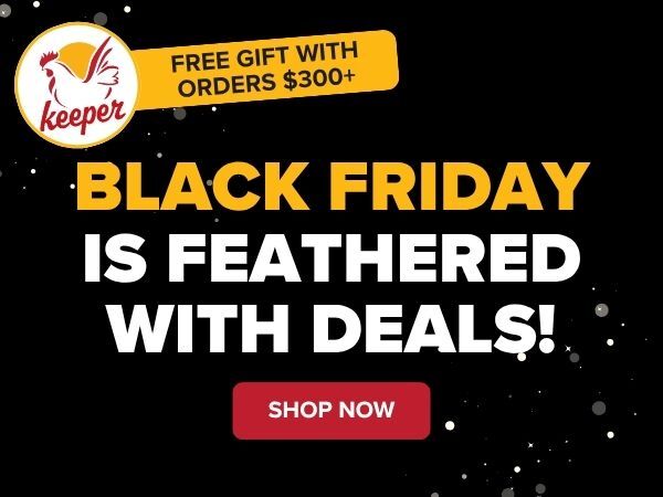 Black Friday Deals are Here