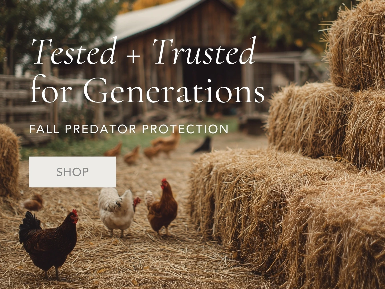 Shop Netting & Fencing