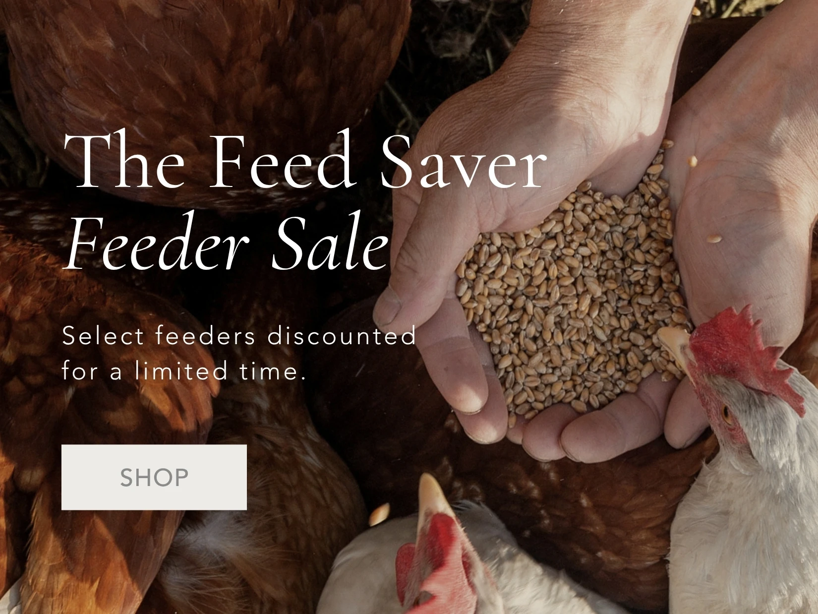 Shop The Feed Saver Feeder Sale Now