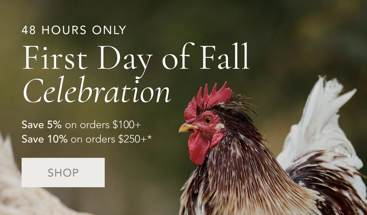 Shop First Day of Fall Sale