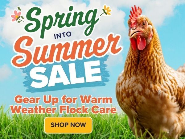 Spring Into Summer Sale