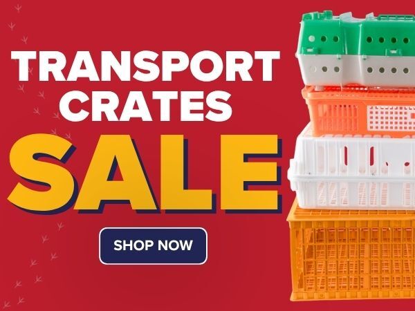 Transport Crate Sale