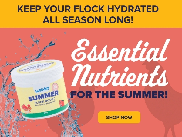 Summer Supplements