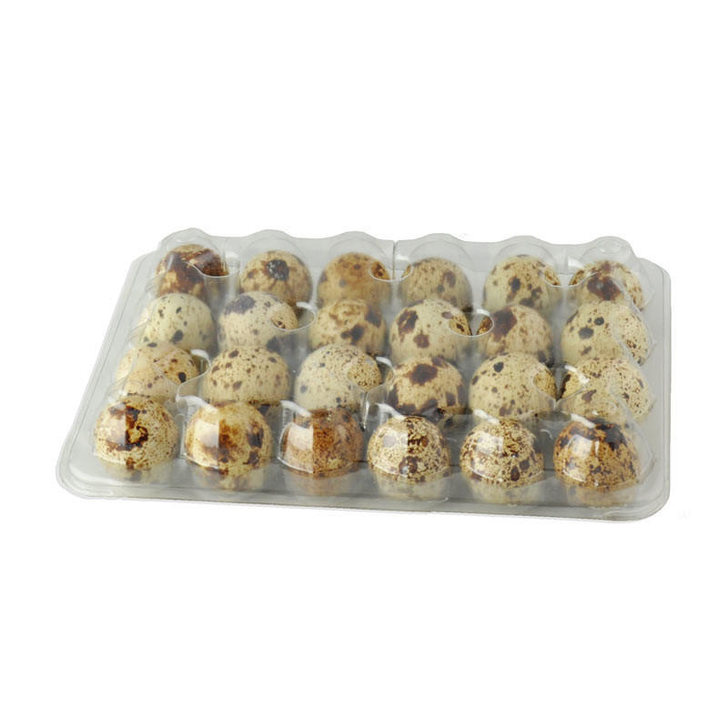 Assorted Fancy Quail Eggs