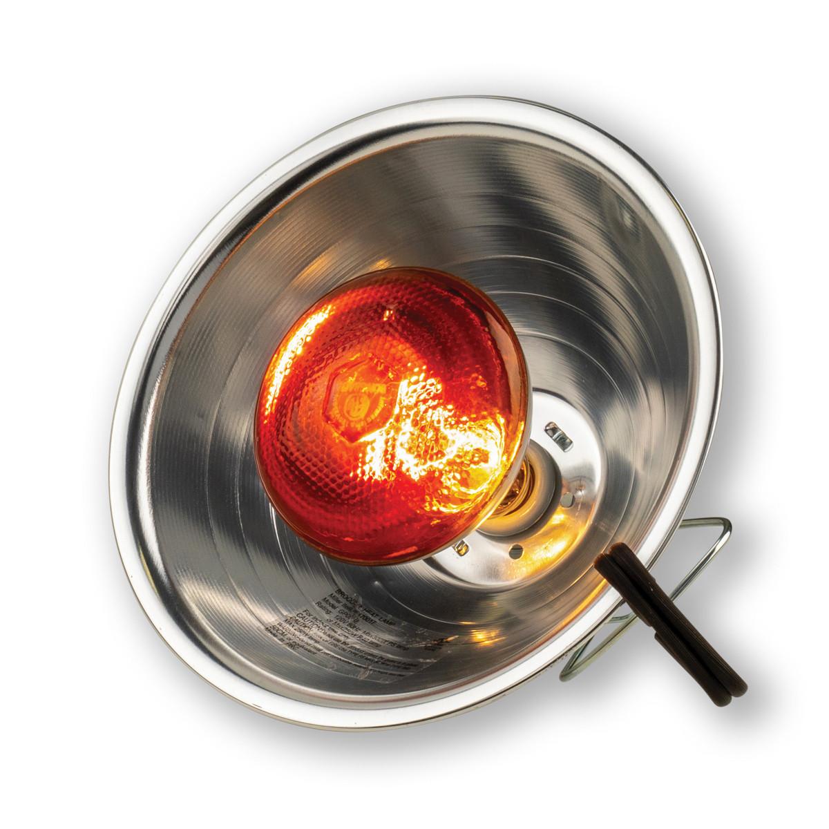 Reflector Lamp | Chicken Heater | Stromberg's Chickens