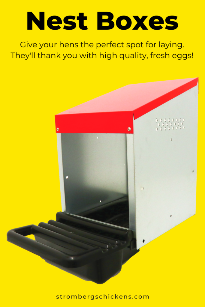 How to Get Your Chickens to Return to the Coop at Night Strombergs