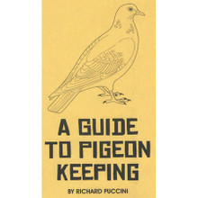 A Guide to Pigeon Keeping