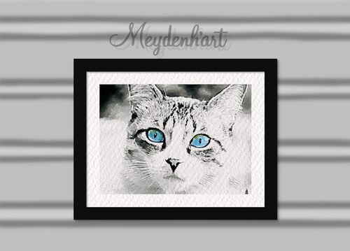 Digital art print, Cat blue eyes monochrome