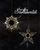 Lighted star hangers