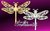 Two dragonflies
