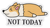  Not Today Dog Canvas (set of 8) 
