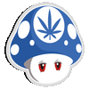 Mushroom Blue Infinity Light