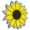 Sunflower Infinity Light