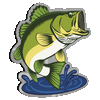 Bass Fish Infinity Light