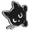 Black Cat Infinity Light