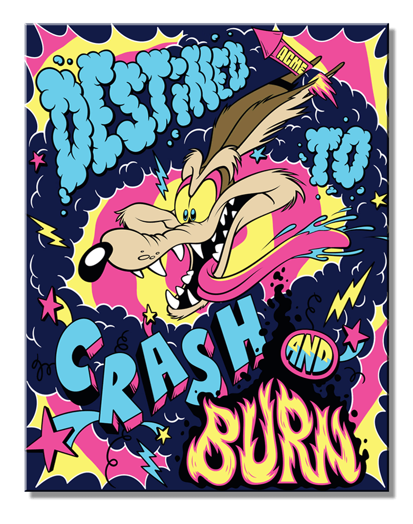 Warner Brothers Looney Tunes Wile E Crash 