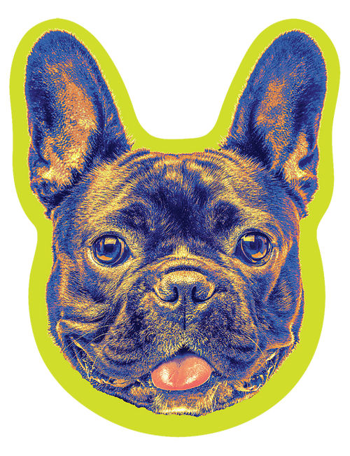 Sticker - Frenchie Face Set of 6