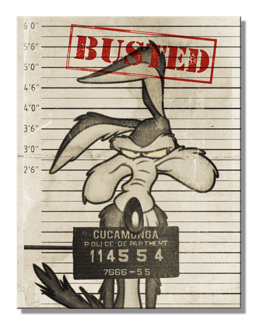 Warner Brothers SH - Looney Tunes Bustedl 8.25" x 10.75" 