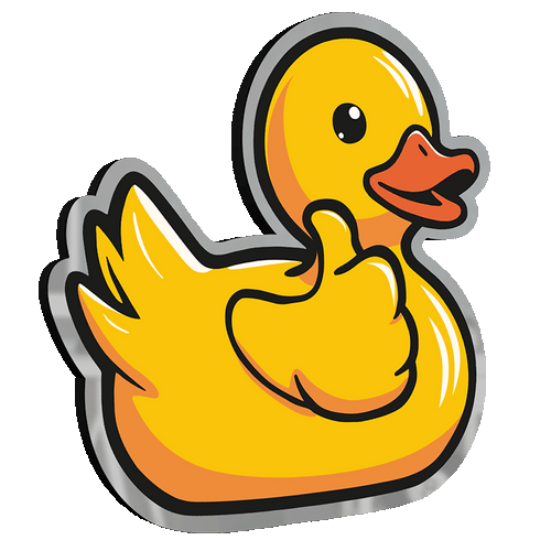 Rubber Ducky Infinity Light