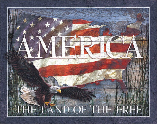 America - Land of Free