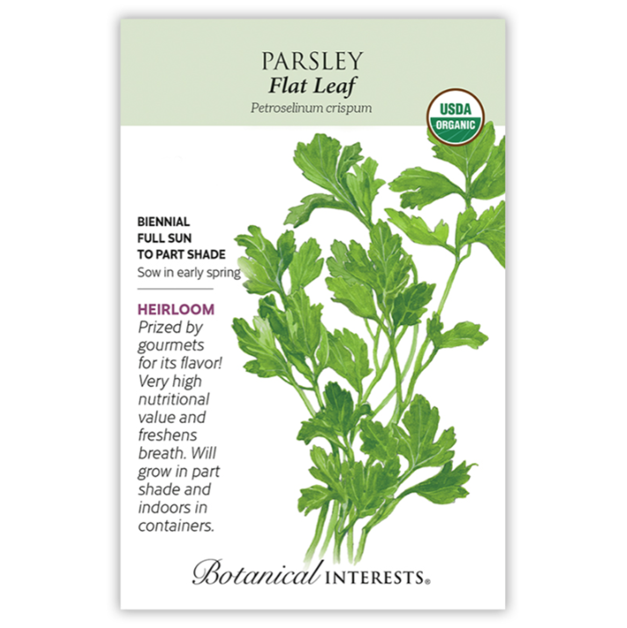 Organic Heirloom Flat Leaf Parsley Seeds Essex County CoOp