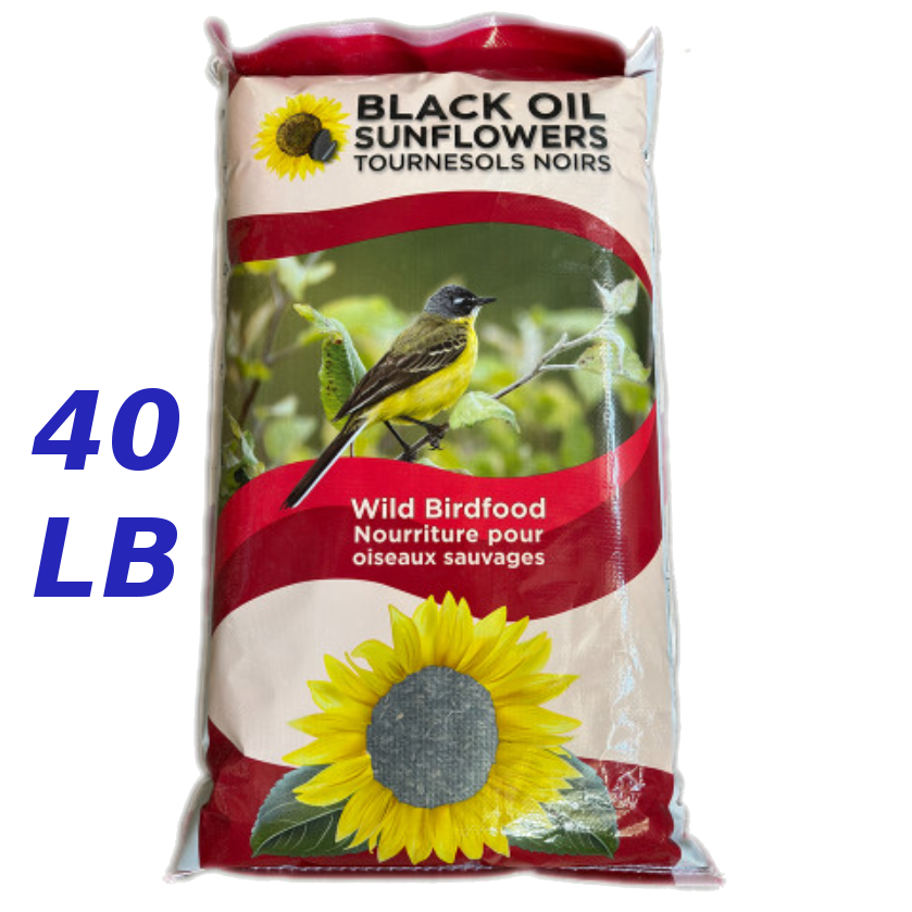 General Black OIl Sunflower Seeds Essex County Co Op General Black OIl Sunflower Seeds Essex County Co Op