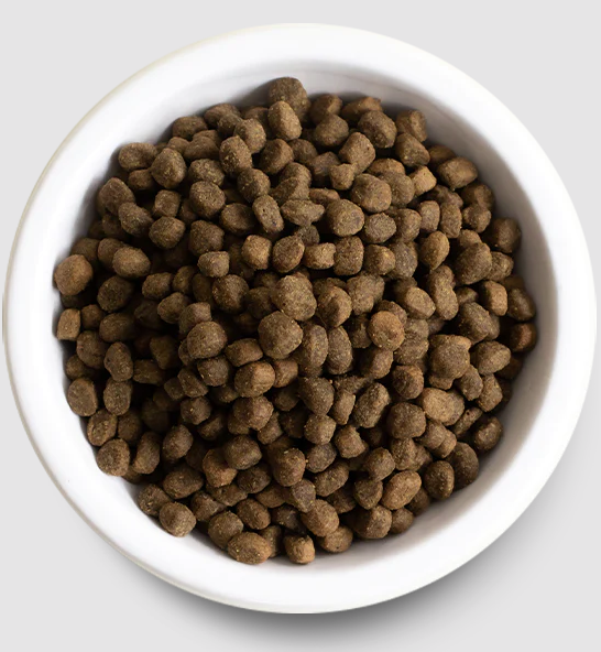 Open Farm Ancient Grains HighProtein Puppy Food Essex County CoOp