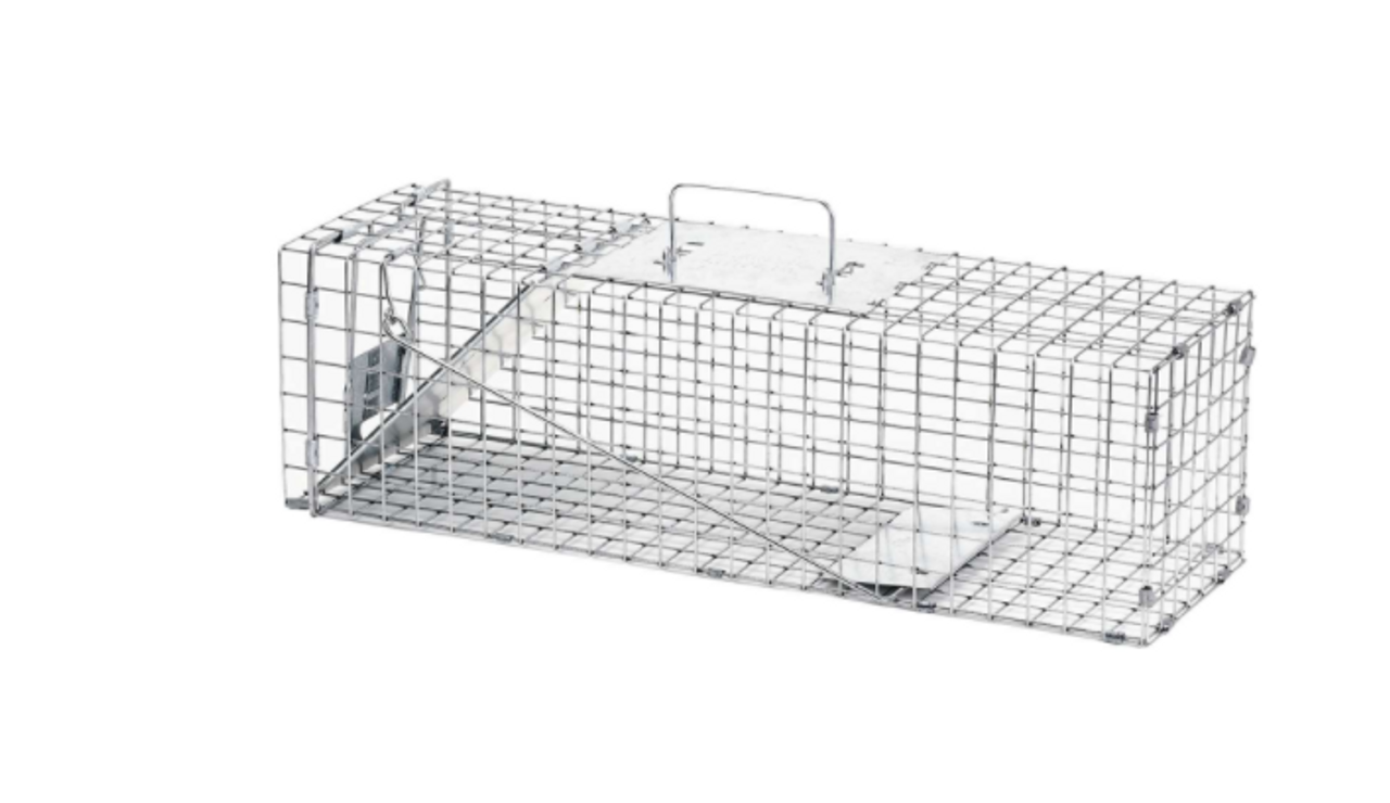 Havahart Live Catch Cage Trap For Raccoons - Essex County Co-Op