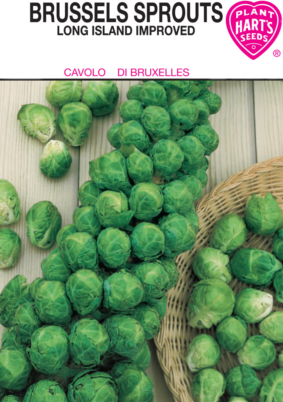 Hart's Long Island Brussels Sprouts Essex County CoOp