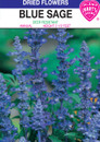blue sage