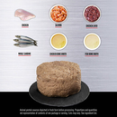 ORIJEN Chicken & Salmon Entrée Wet Kitten Food Ingredients