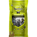 Blue Seal Sentinel Performance LS Blue Seal Sentinel Performance LS