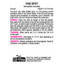 Five Spot Flower Seeds