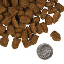 Kibble size Kibble size