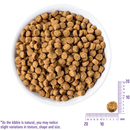 Kibble Kibble