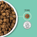 Kibble sizes