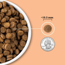 Kibble size