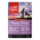 ORIJEN® Puppy Large Breed Grain-Free Dry Dog Food
