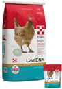 Purina Layena Layer Feed Crumbles