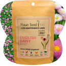 Flawn English Daisy 'Mixed' Seed Pouch Flawn English Daisy 'Mixed' Seed Pouch
