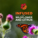 Infused with wildflower Infused with wildflower