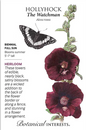 Watchman Hollyhock Seeds