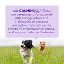 AmpliFull Calming Soft Chews AmpliFull Calming Soft Chews