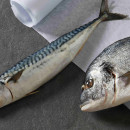 Salmon & Mackerel Paté ingredients Salmon & Mackerel Paté ingredients