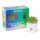 Tranquil Tabitha Tranquil Tabitha