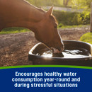 Encourages healthy water consumption