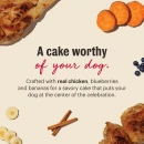 A cake worthy of your dog
