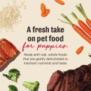 Fresh take on pet food for puppies